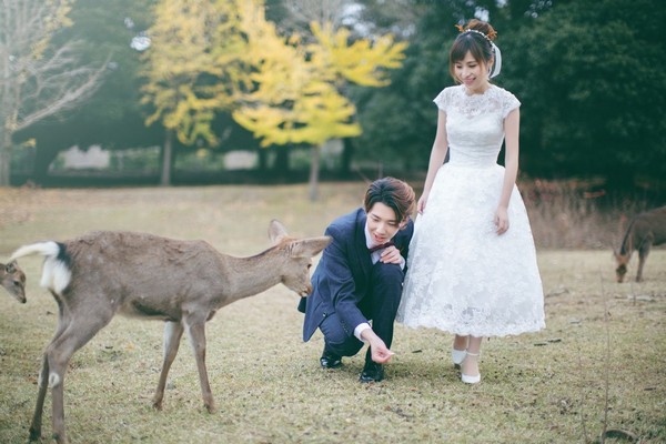 旅拍婚紗,日本婚紗,海外婚紗,奈良拍婚紗,奈良婚紗照